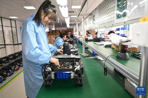 哈爾濱新區 技術服務涌動創新熱潮，引領產業振興